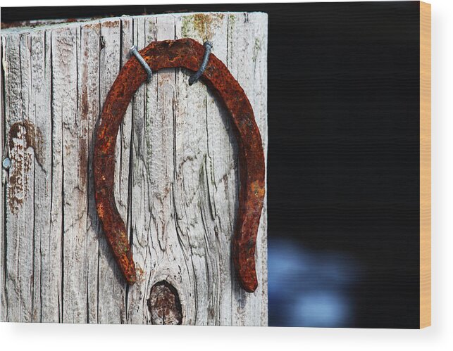 Apacheco Wood Print featuring the photograph Lucky by Andrew Pacheco