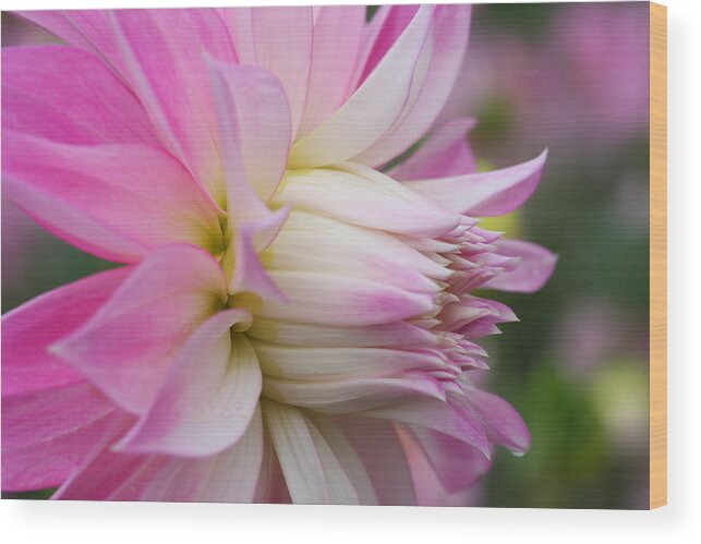 Macro Flower Print Wood Print featuring the photograph Macro Flower Profile by Marie Jamieson