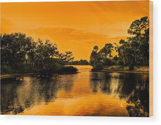 Florida Wood Print featuring the photograph Magic of Florida Sunset by Stephen Johnson