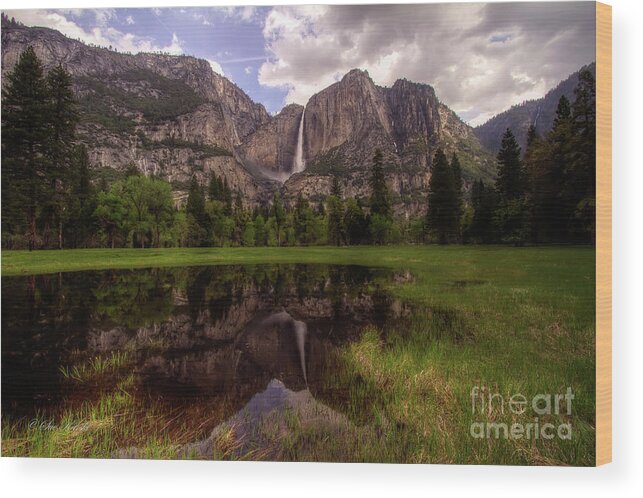 Cooks Meadow Wood Print featuring the photograph Majestic Reflections by Sue Karski
