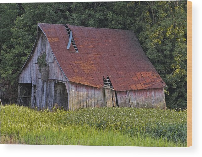 Old Red Barn Wood Print featuring the photograph Make's You Want-a Cry by Mike Flake