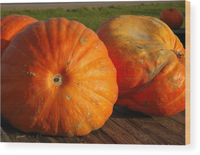 Food And Beverage Wood Print featuring the photograph Mass Pumpkins by LeeAnn McLaneGoetz McLaneGoetzStudioLLCcom