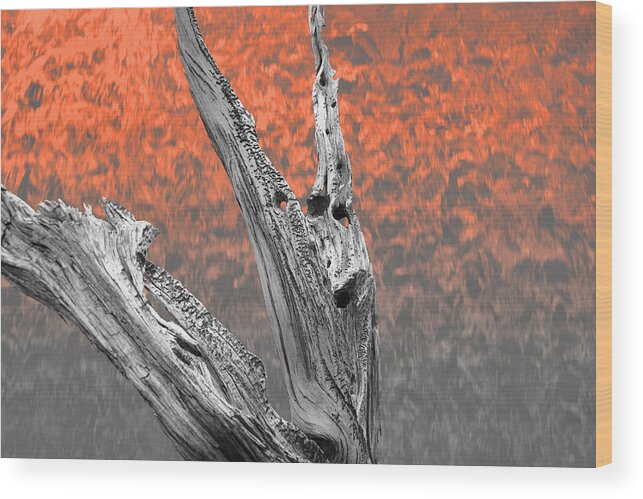 Tree Wood Print featuring the photograph Melting Ghosts by Mark Ross