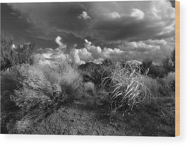 Landscape Wood Print featuring the photograph Mesa Dreams by Ron Cline