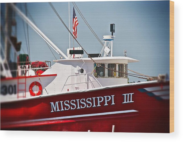 Mississippi Wood Print featuring the photograph Mississippi III by Jim Albritton