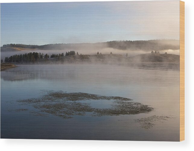 Yellowstone Wood Print featuring the photograph Misty morning by Johan Elzenga