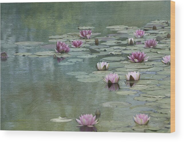 Prints For Sale Wood Print featuring the photograph Monet-1 by Carolyn D'Alessandro