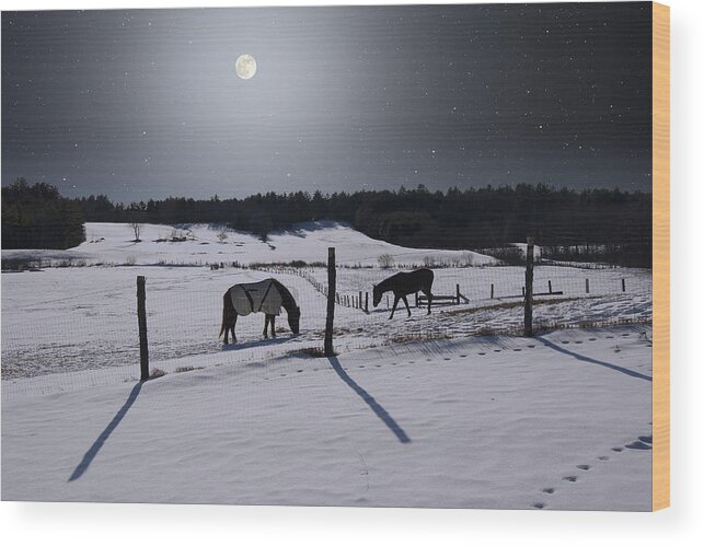 Astronomy Wood Print featuring the photograph Moonlit Horses by Larry Landolfi