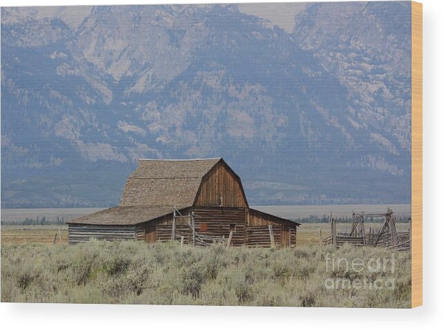 Landscape Wood Print featuring the photograph Mormon Row - Grand Teton National Park by Veronica Batterson