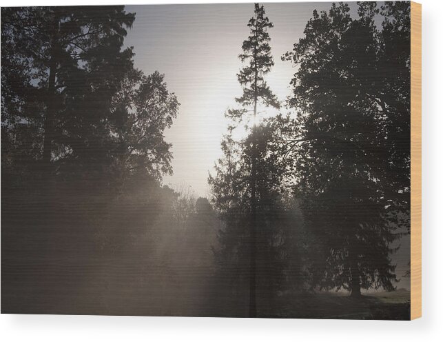 Morning At Valley Forge Wood Print featuring the photograph Morning at Valley Forge by Bill Cannon