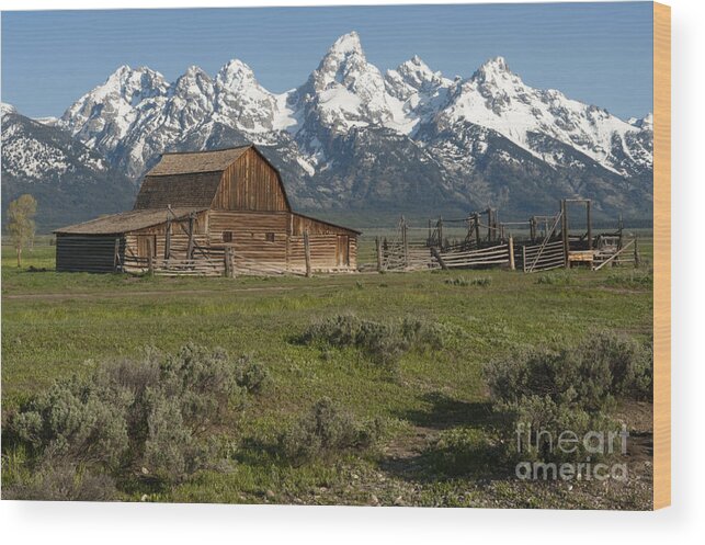 Grand Teton Wood Print featuring the photograph Moulton Barn - Grand Tetons by Sandra Bronstein