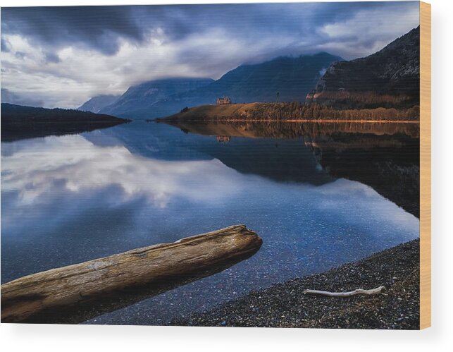 Blog Wood Print featuring the photograph Mountain Prince by David Buhler