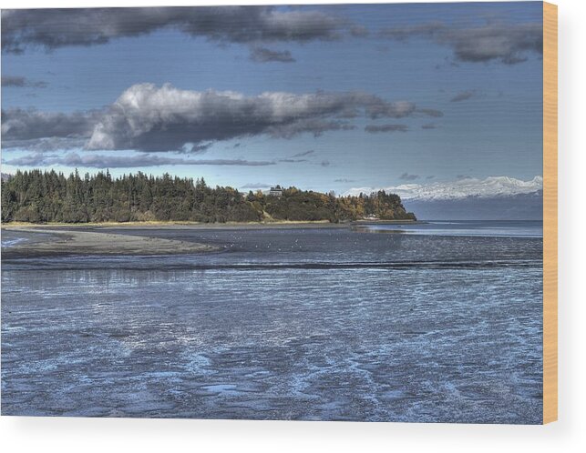 Mud Bay Wood Print featuring the photograph Mud Bay by Michele Cornelius