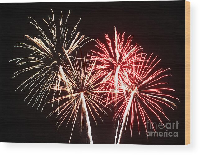 Fireworks Wood Print featuring the photograph Multiple colors by Agusti Pardo Rossello