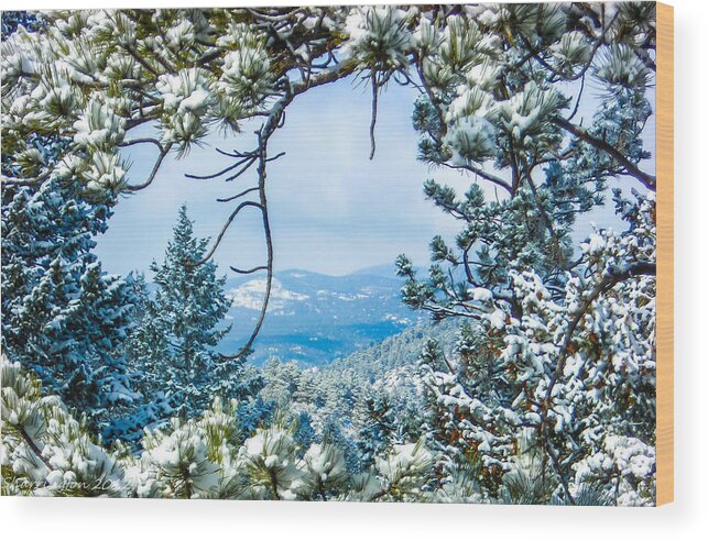Landscapes Wood Print featuring the photograph Natural Wreath by Shannon Harrington
