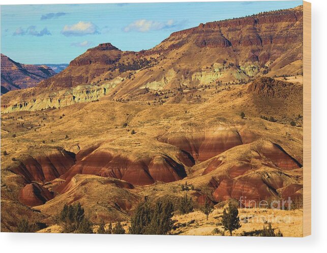 John Day Fossil Beds National Monument Wood Print featuring the photograph Natures Art by Adam Jewell