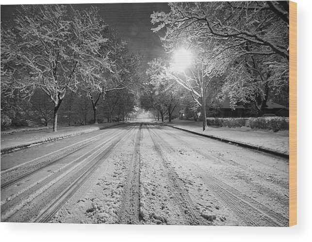 Monochrome Wood Print featuring the photograph Natures Flocking by CJ Schmit