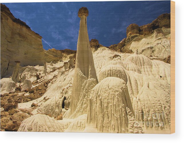 Wahweap Hoodoos Wood Print featuring the photograph Natures Sculpture by Adam Jewell