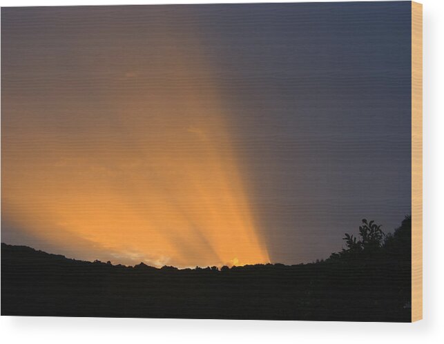 Sunset Wood Print featuring the photograph Natures search light by Rosemary Garland