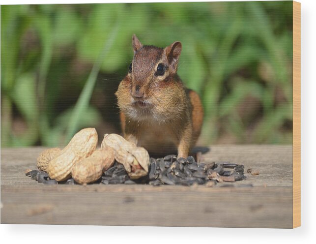 Chipmunk Wood Print featuring the photograph Now this is a Breakfast by Lori Tambakis
