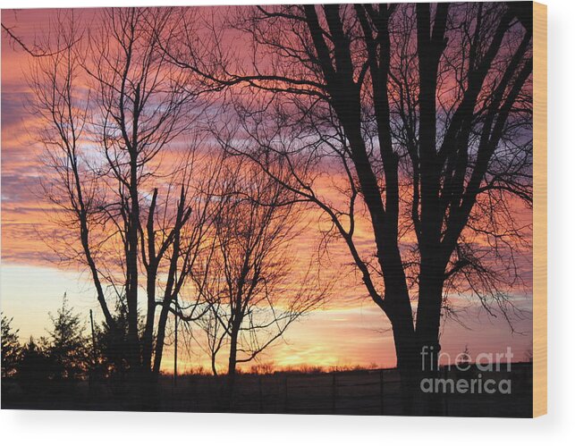 Landscape Wood Print featuring the photograph Oklahoma Sunset by Sheri Simmons