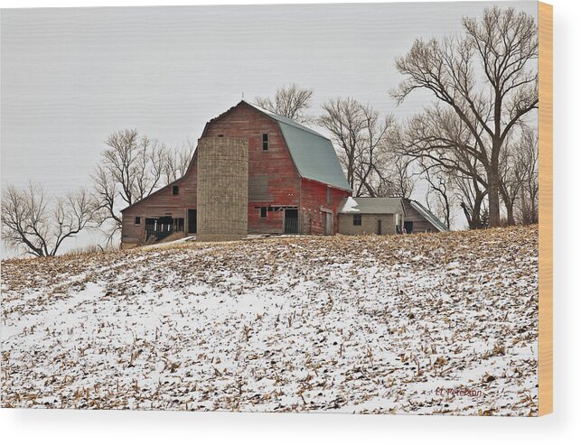 Barns Wood Print featuring the photograph Old Red Barn by Ed Peterson