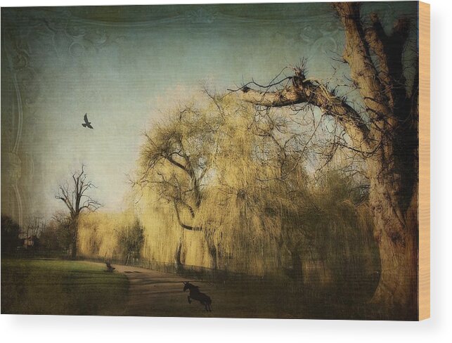 Nature Tree Park Wood Print featuring the digital art On the silent wings of freedom by Usman Ali