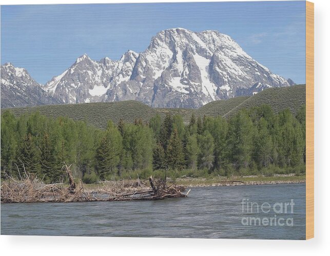 Grand Tetons Wood Print featuring the photograph On The Snake River by Living Color Photography Lorraine Lynch