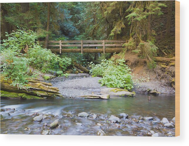 Green Wood Print featuring the photograph On The Trail To Marymere by Heidi Smith