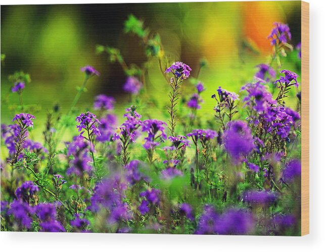 Flowers Wood Print featuring the photograph One Touch of Nature by Melanie Moraga