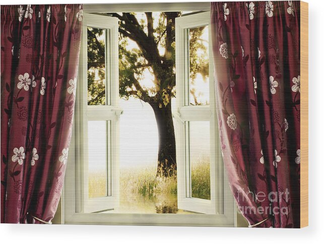 Window Wood Print featuring the photograph Open window to tree by Simon Bratt