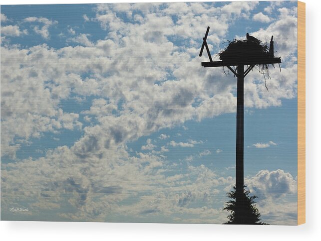 Osprey Wood Print featuring the photograph Osprey Nest by Michelle Constantine