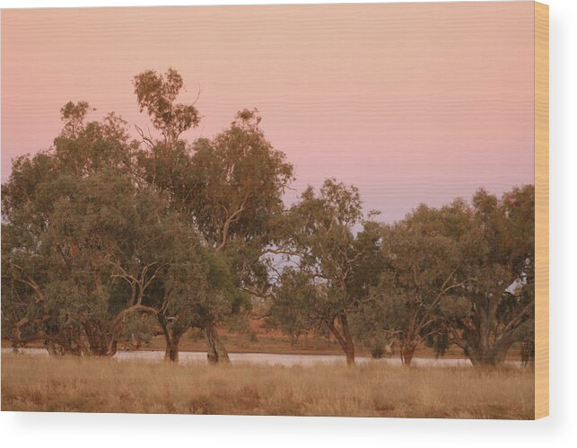 Landscape Wood Print featuring the photograph Outback Sky by Jan Lawnikanis