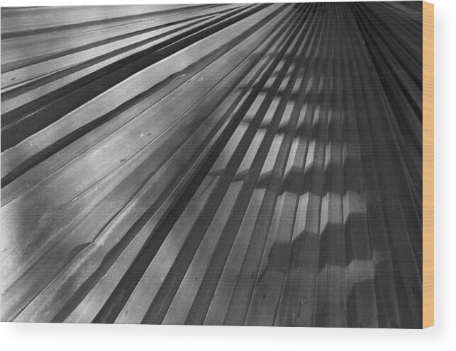 Black And White Wood Print featuring the photograph Palm Mystery by Sandy Fisher