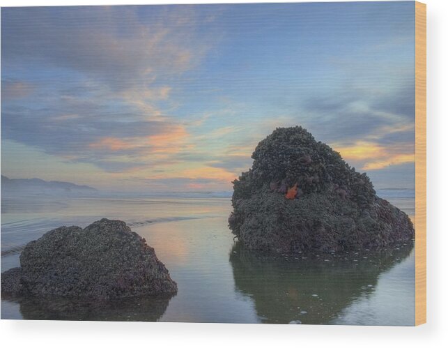 Pastel Wood Print featuring the photograph Pastel Tidepool by Joseph Bowman