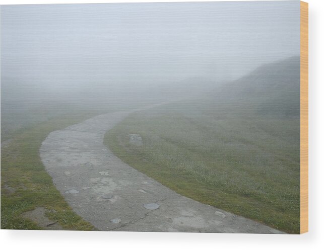 Fog Wood Print featuring the photograph Path in the fog by Matthias Hauser