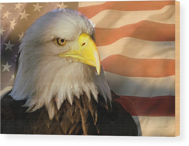 Eagle Wood Print featuring the photograph Patriotic Eagle by Marty Koch