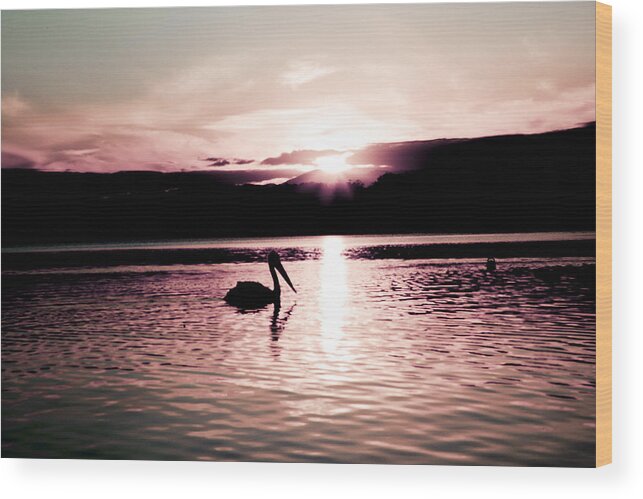 Pelican Wood Print featuring the photograph Pelican at sunset. by Carole Hinding