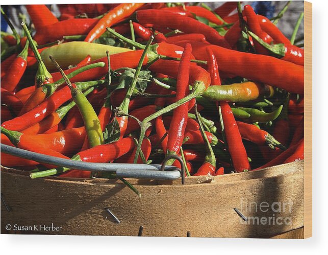 Outdoors Wood Print featuring the photograph Peppers And More Peppers by Susan Herber