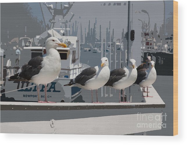 Artistic Wood Print featuring the photograph Perched Seagulls by Sonny Marcyan