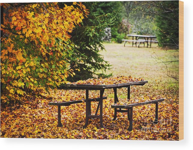 Picnic Table Wood Print featuring the photograph Picnic table with autumn leaves by Elena Elisseeva