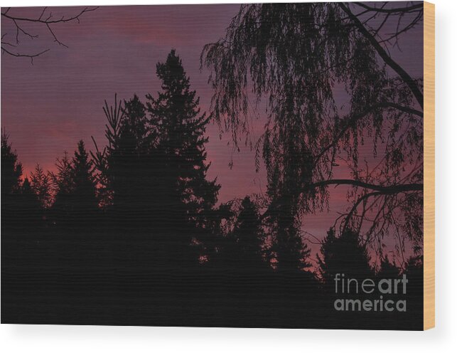 Sunrise Wood Print featuring the photograph Pink Sky in the Morning by Cheryl Baxter