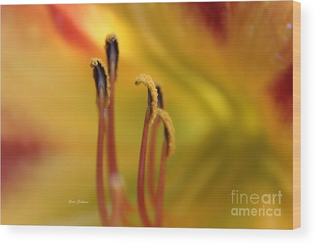 Pistils Wood Print featuring the photograph Pistils of the daylily by Yumi Johnson