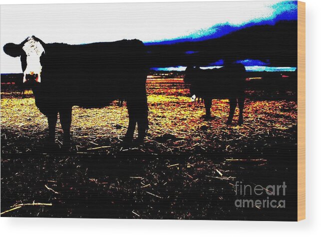 Calf Wood Print featuring the photograph Pop Art Calves by Therese Alcorn