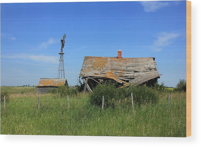 Grass Wood Print featuring the photograph Prairie Dream by Jim Sauchyn