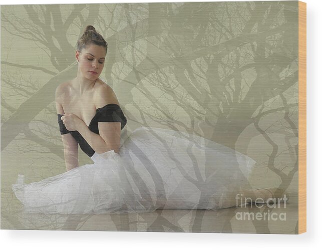 Ballet Wood Print featuring the digital art Prima Ballerina by Denise Wilkins