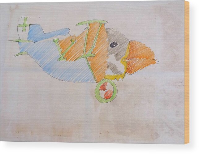 Airplane Wood Print featuring the drawing Puffin Biplane by Virginia Stuart