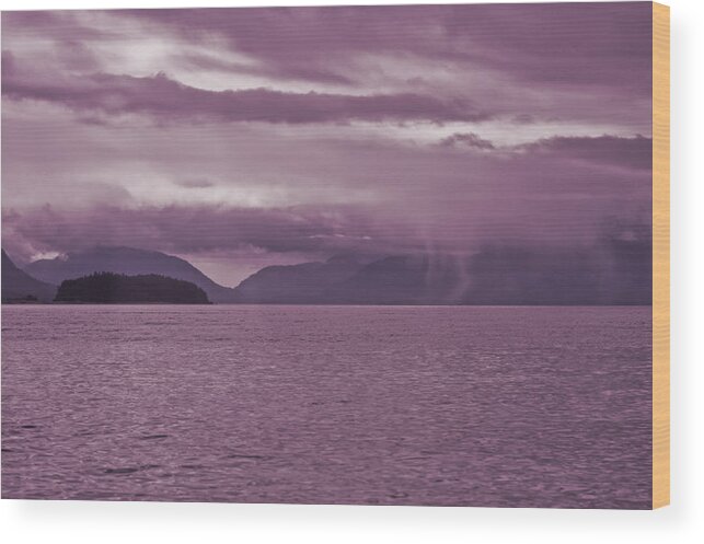 Purple Wood Print featuring the photograph Purple Rain by Don Mennig