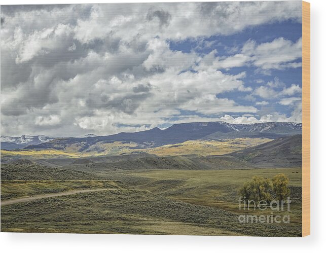 Color Landscape Photography Wood Print featuring the photograph Ranch Land II by David Waldrop