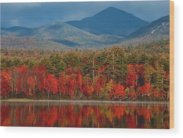 Trees Wood Print featuring the photograph Red Autumn Reflections by Nancy De Flon